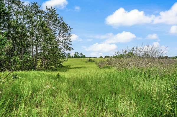 14.2 Acres of Land for Sale in Le Roy, Michigan