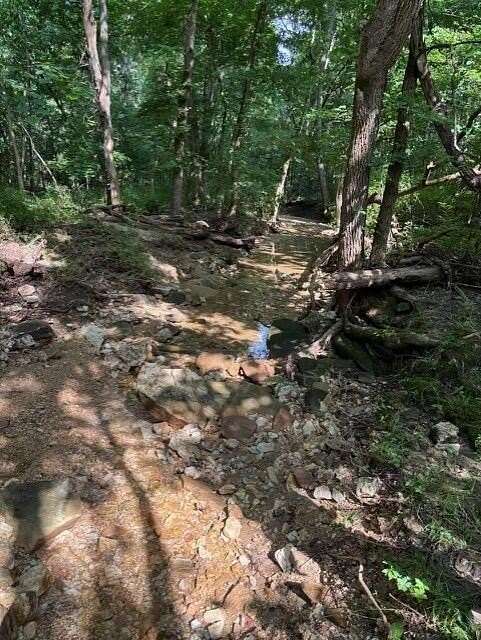 40 Acres of Recreational & Residential Land for Sale in Vanzant, Missouri