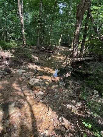 40 Acres of Recreational & Residential Land for Sale in Vanzant, Missouri