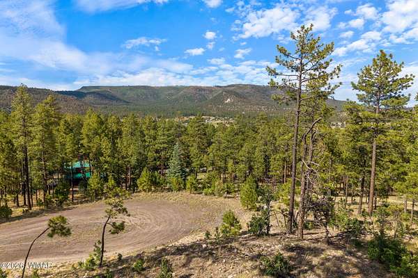 0.5 Acres of Residential Land for Sale in Alpine, Arizona