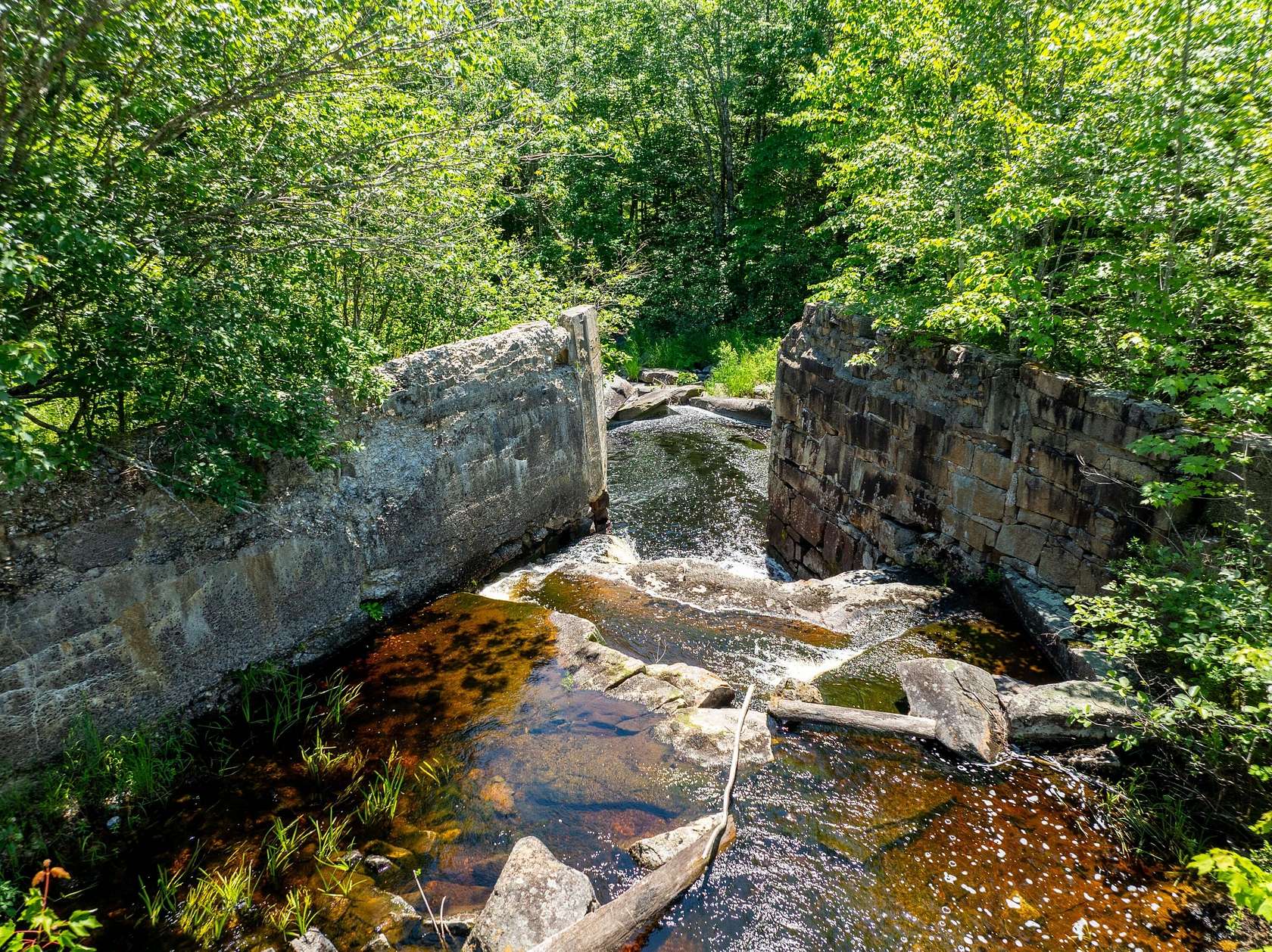 42 Acres of Recreational & Residential Land for Sale in Marshfield, Maine