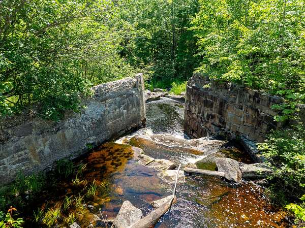 42 Acres of Recreational & Residential Land for Sale in Marshfield, Maine