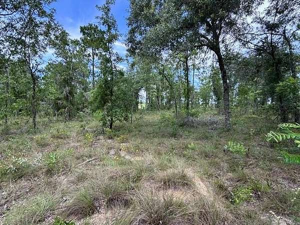 5 Acres of Land for Sale in Morriston, Florida
