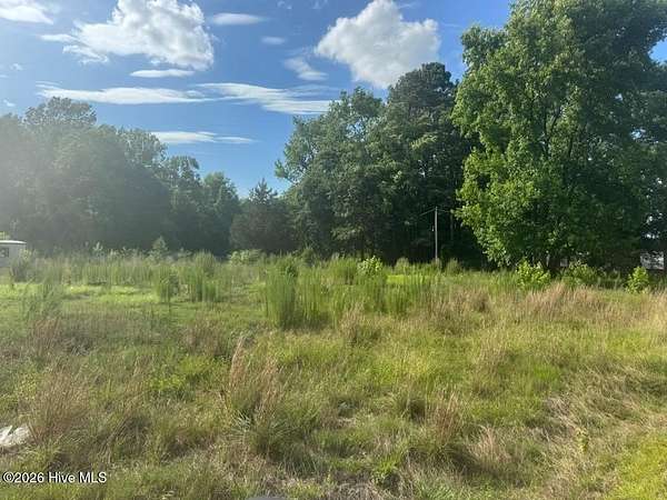 2.5 Acres of Mixed-Use Land for Sale in Magnolia, North Carolina