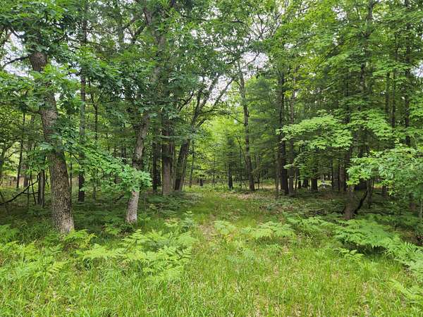1.1 Acres of Residential Land for Sale in Baldwin, Michigan