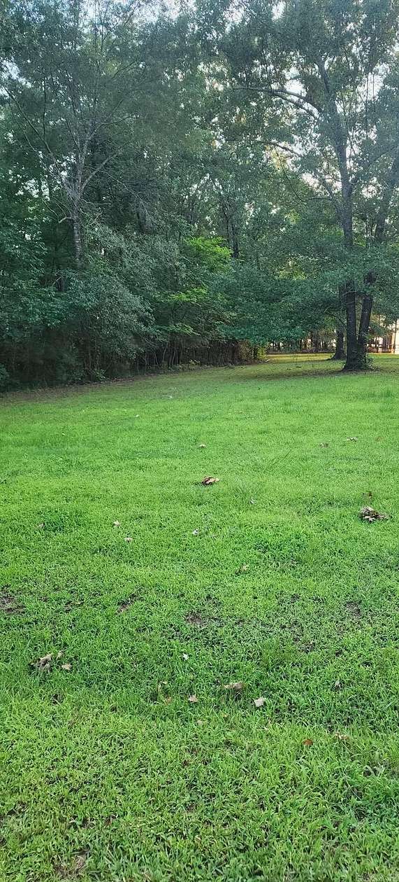 0.45 Acres of Residential Land for Sale in Taylor, Arkansas
