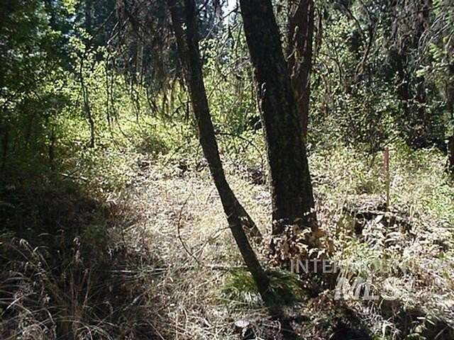 0.25 Acres of Land for Sale in Cascade, Idaho