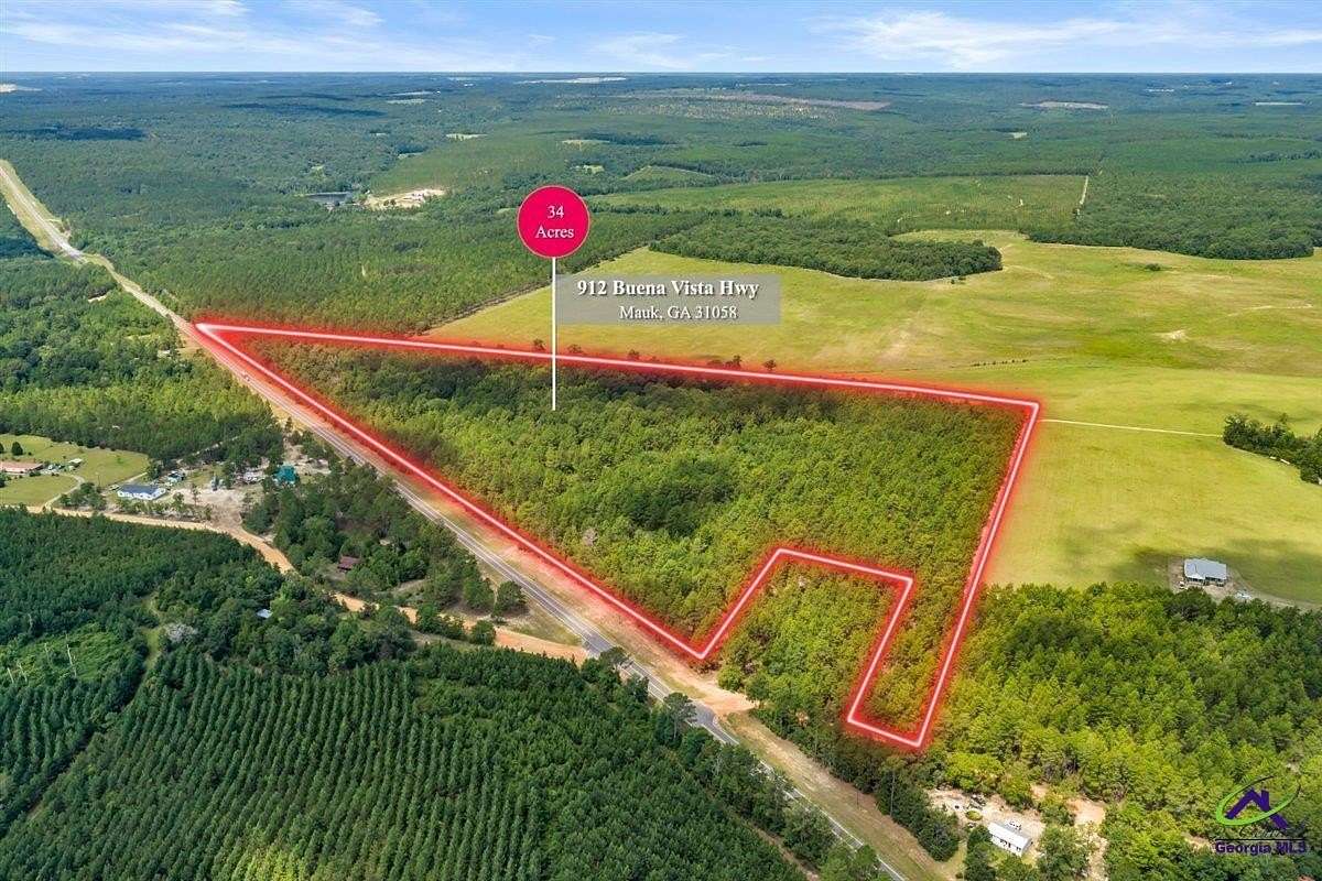 34 Acres of Recreational & Residential Land for Sale in Mauk, Georgia