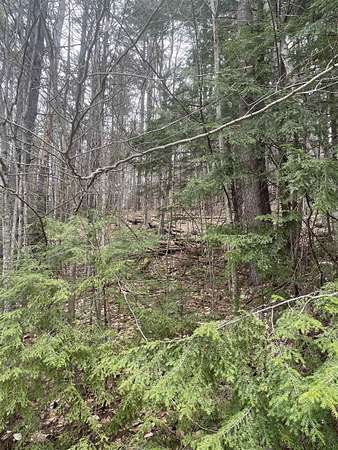 1 Acre of Residential Land for Sale in Campton Town, New Hampshire