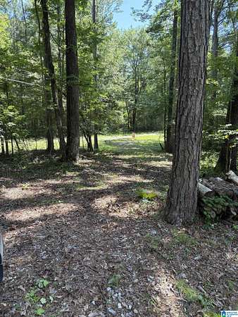 0.91 Acres of Residential Land for Sale in Talladega, Alabama