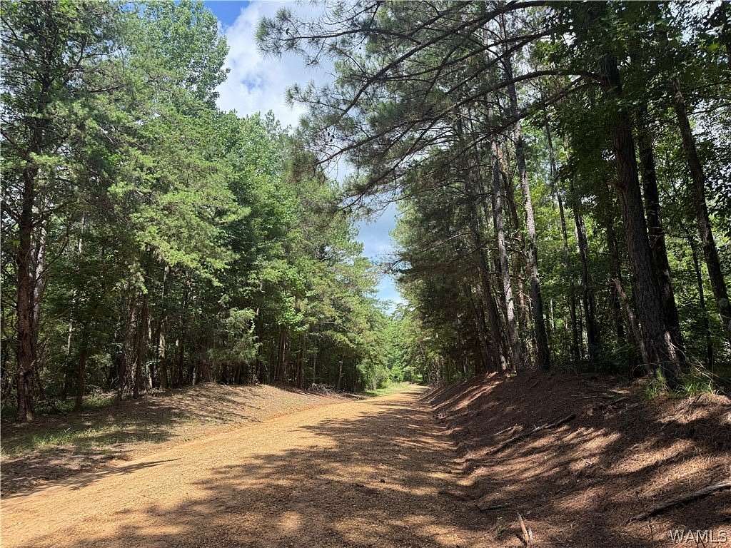 14.5 Acres of Recreational & Residential Land for Sale in Berry, Alabama