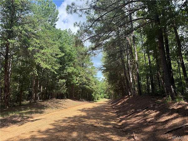 14.5 Acres of Recreational & Residential Land for Sale in Berry, Alabama