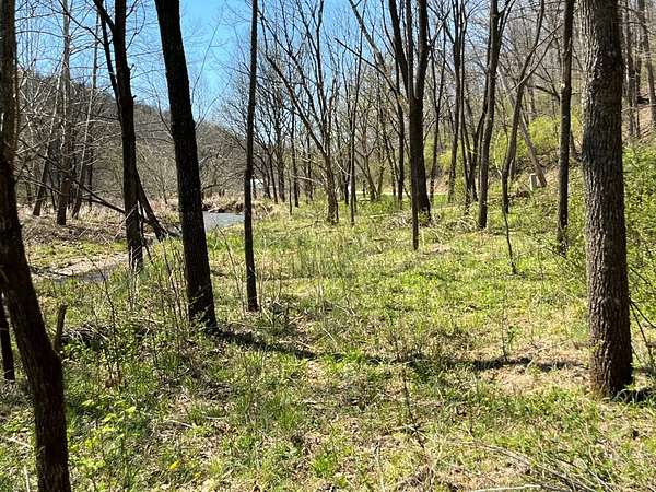 36 Acres of Recreational Land for Sale in Jacksonburg, West Virginia
