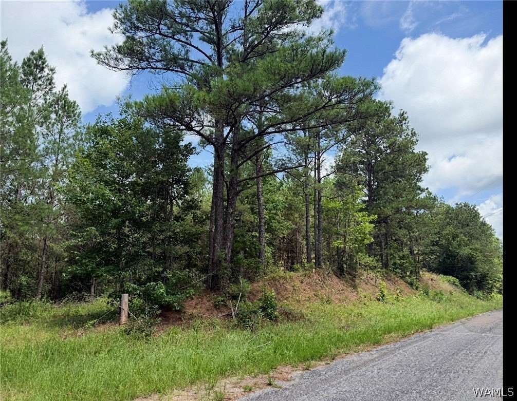 101 Acres of Recreational & Residential Land for Sale in Fayette, Alabama