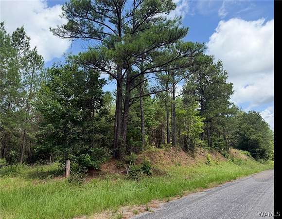 101 Acres of Recreational & Residential Land for Sale in Fayette, Alabama