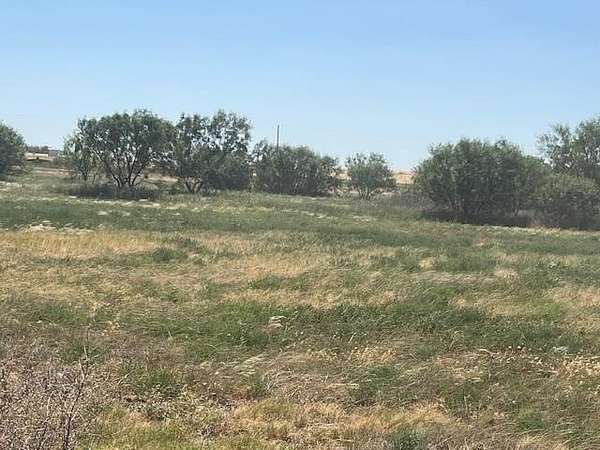 15 Acres of Land for Sale in Colorado City, Texas