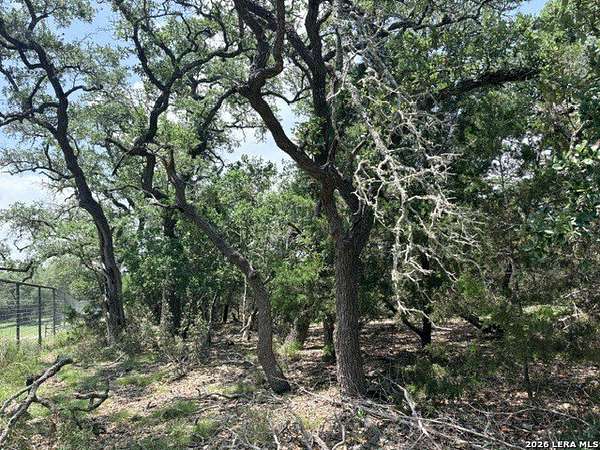 3 Acres of Residential Land for Sale in Spring Branch, Texas