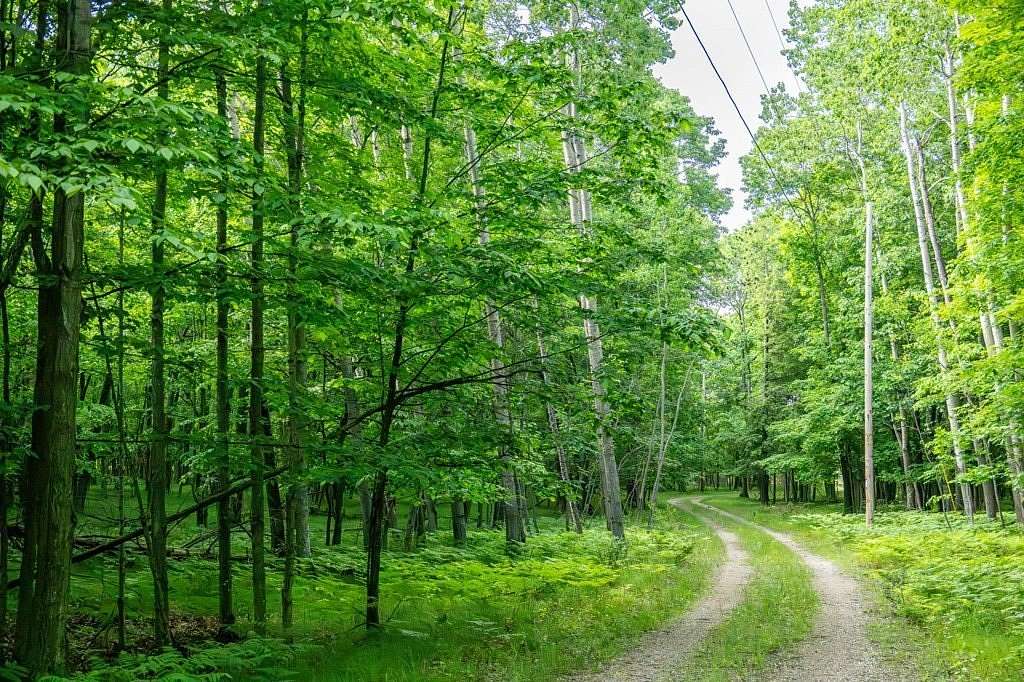 1.74 Acres of Residential Land for Sale in Fish Creek, Wisconsin