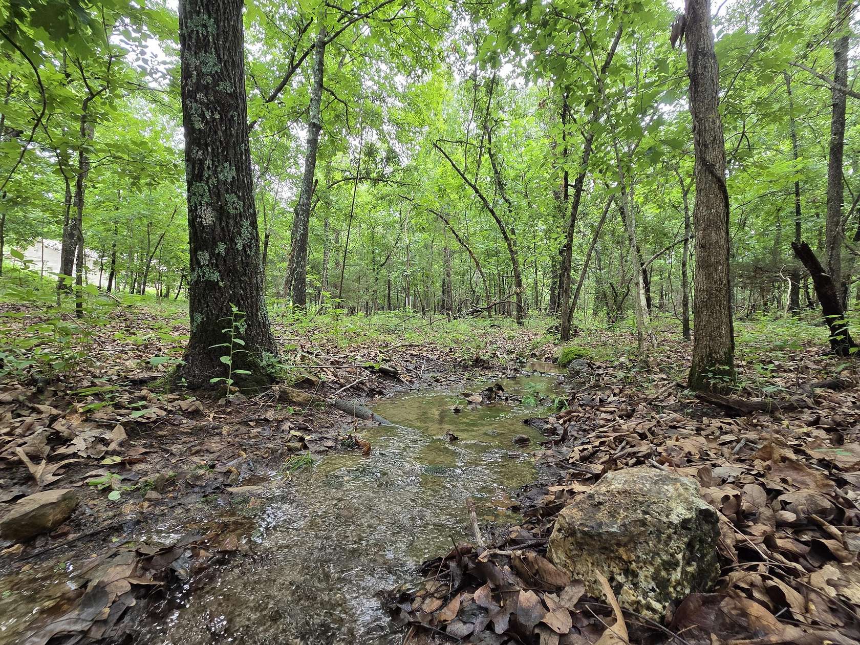 3 Acres of Land for Sale in Marshfield, Missouri