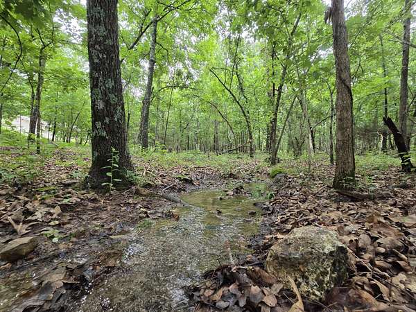 3 Acres of Land for Sale in Marshfield, Missouri