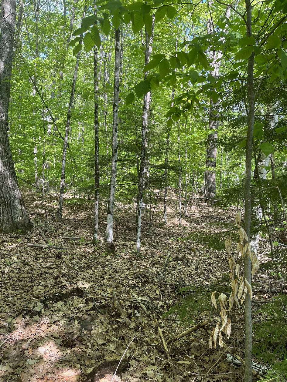 1.14 Acres of Residential Land for Sale in Campton Town, New Hampshire