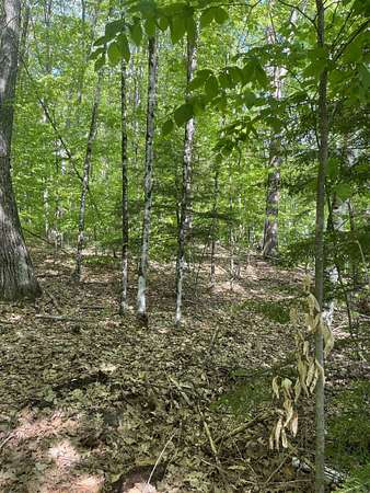 1.14 Acres of Residential Land for Sale in Campton Town, New Hampshire