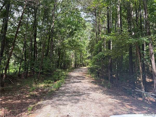 43 Acres of Recreational Land for Sale in Berry, Alabama