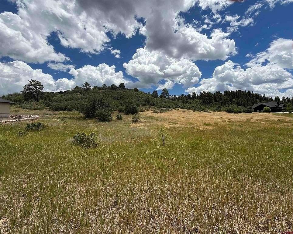 0.41 Acres of Residential Land for Sale in Pagosa Springs, Colorado