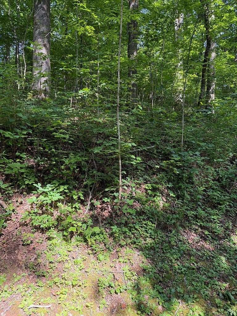0.92 Acres of Residential Land for Sale in Franklin, North Carolina