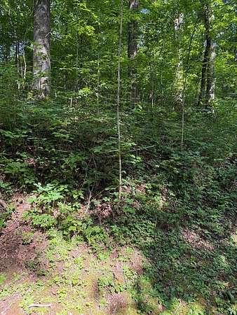 0.92 Acres of Residential Land for Sale in Franklin, North Carolina