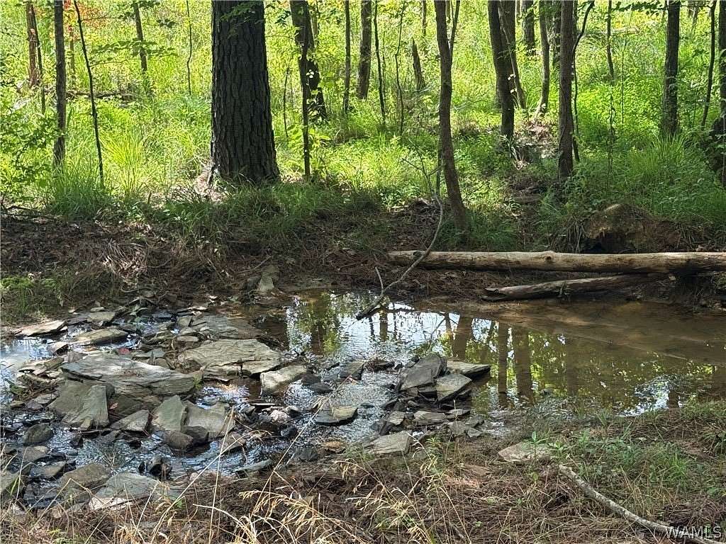 15.5 Acres of Recreational & Residential Land for Sale in Berry, Alabama