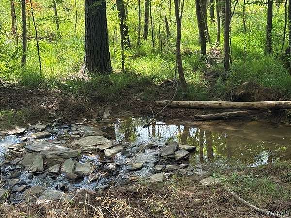 15.5 Acres of Recreational & Residential Land for Sale in Berry, Alabama