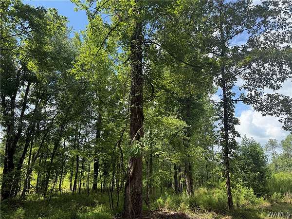15.5 Acres of Recreational & Residential Land for Sale in Berry, Alabama