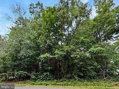 0.35 Acres of Residential Land for Sale in Locust Grove, Virginia