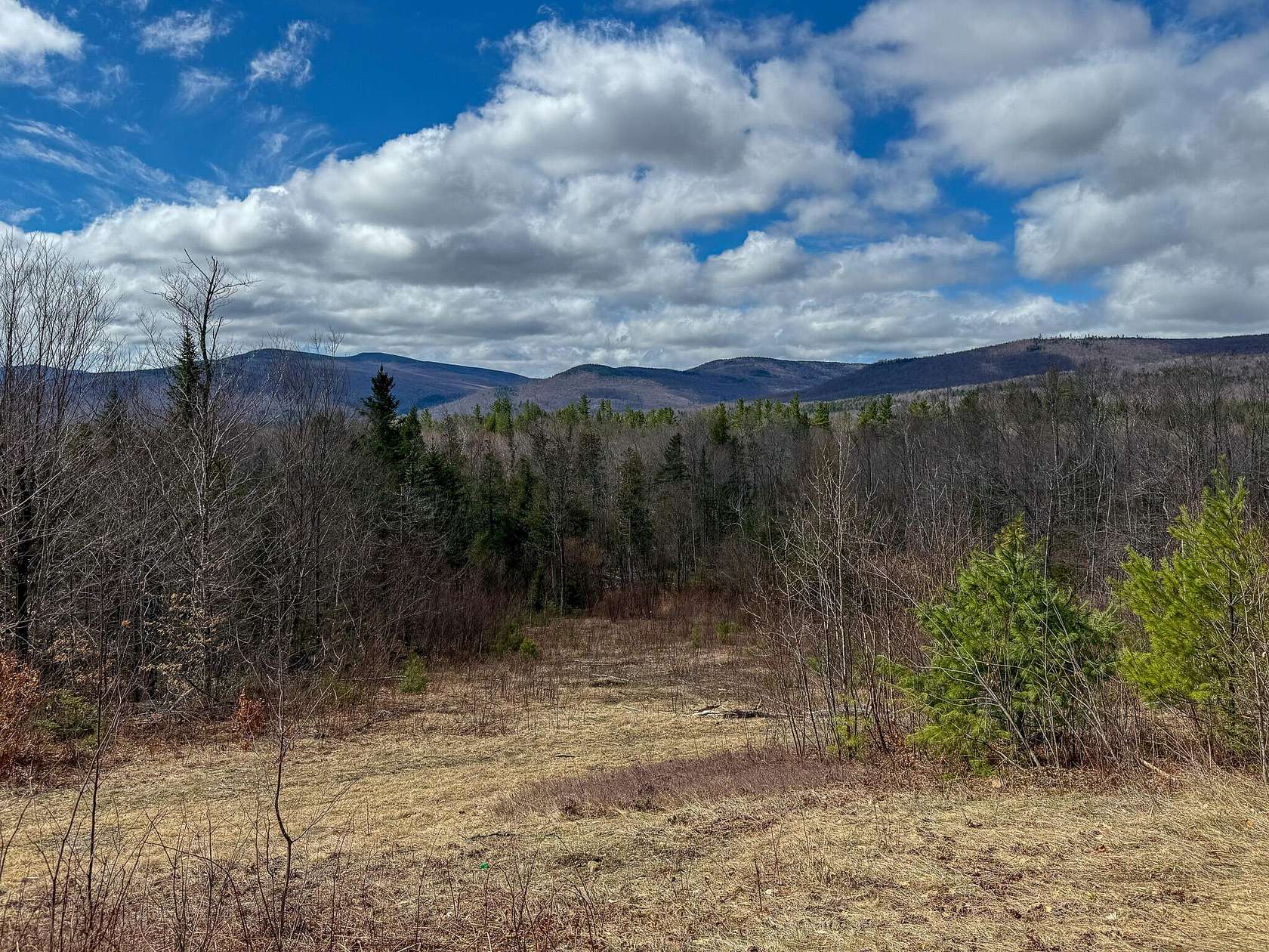 17.6 Acres of Land for Sale in Andover, Maine