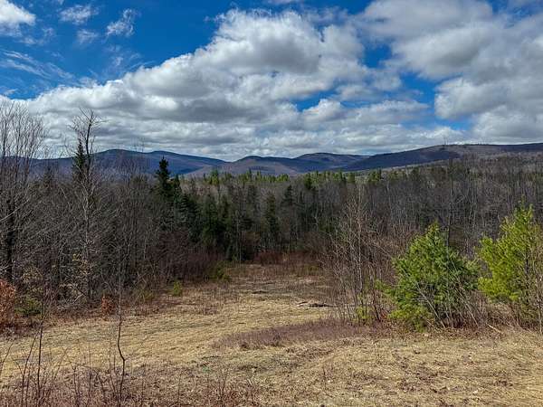 17.6 Acres of Land for Sale in Andover, Maine