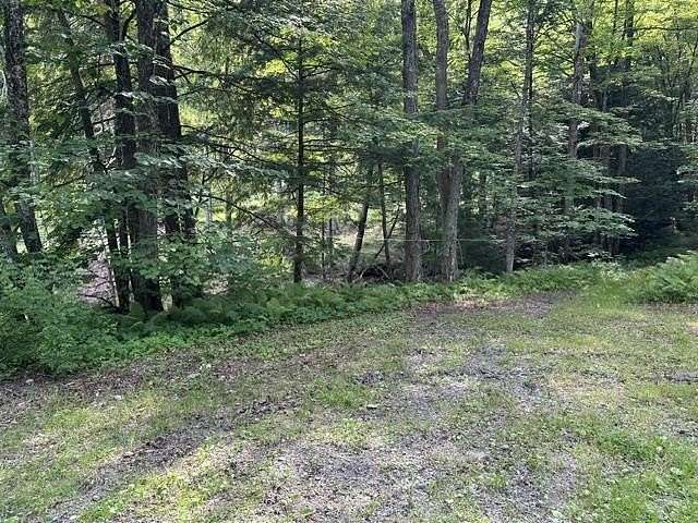 56.9 Acres of Land for Sale in Weathersfield Town, Vermont