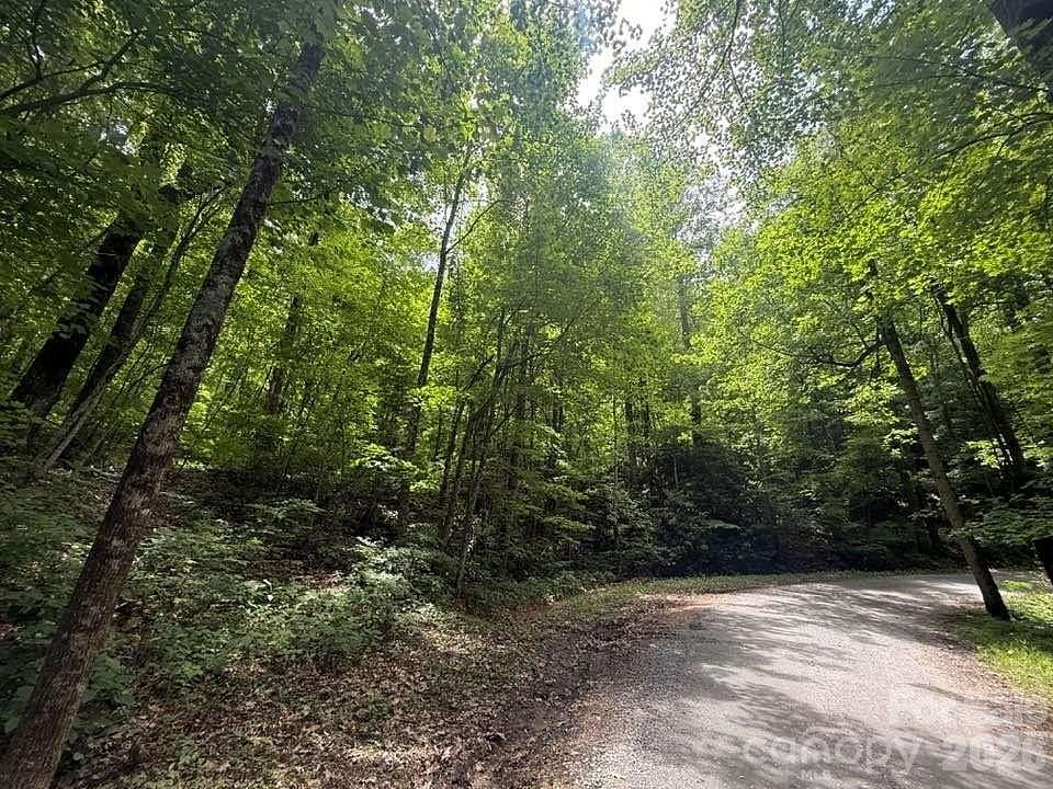 0.88 Acres of Residential Land for Sale in Tryon, North Carolina