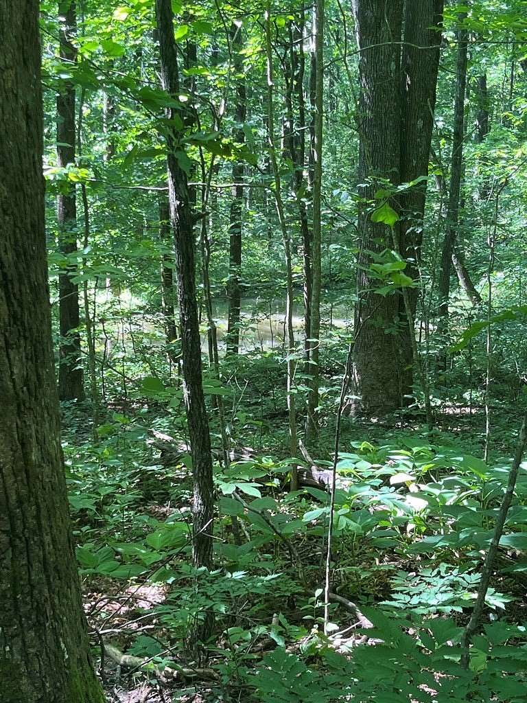 3.68 Acres of Residential Land for Sale in Jasper, Georgia
