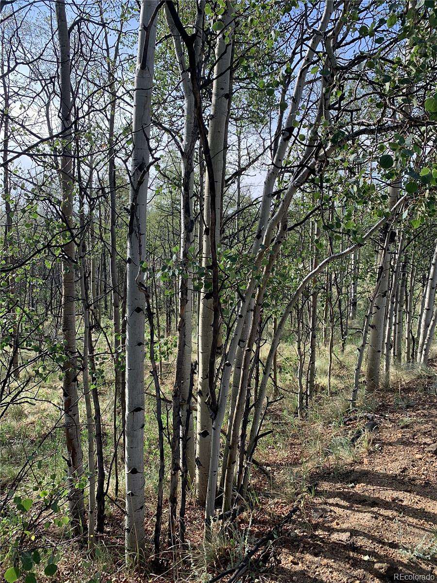 2 Acres of Residential Land for Sale in Como, Colorado
