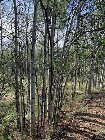 2 Acres of Residential Land for Sale in Como, Colorado