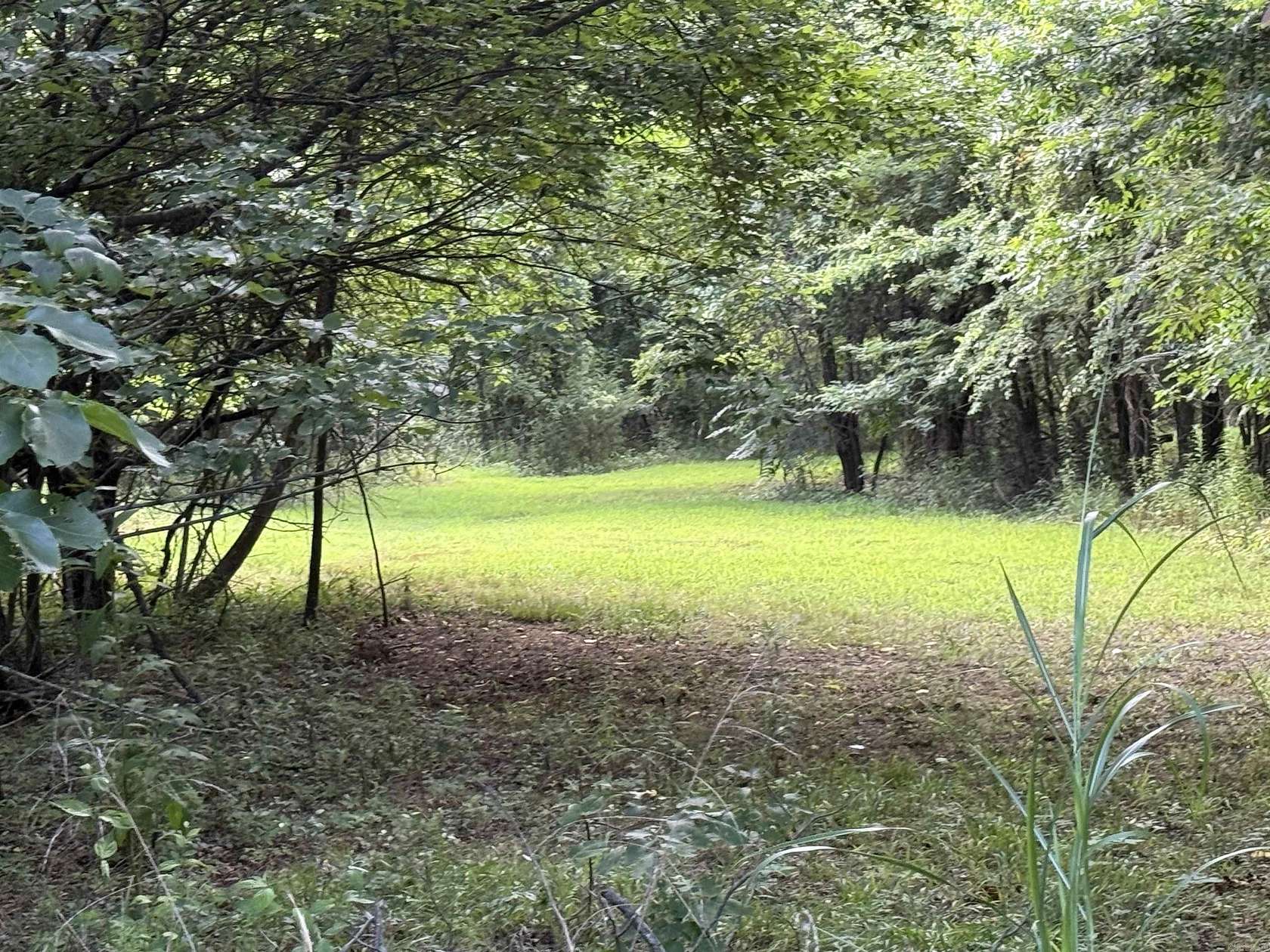 14 Acres of Land for Sale in Hartman, Arkansas