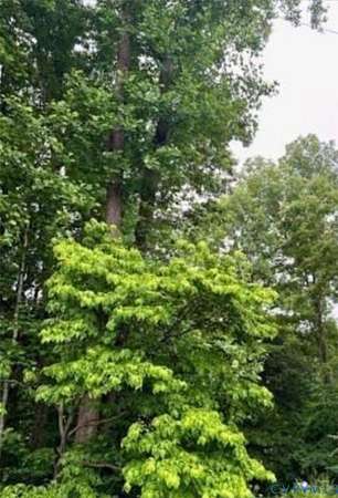 1 Acre of Residential Land for Sale in Prince George, Virginia