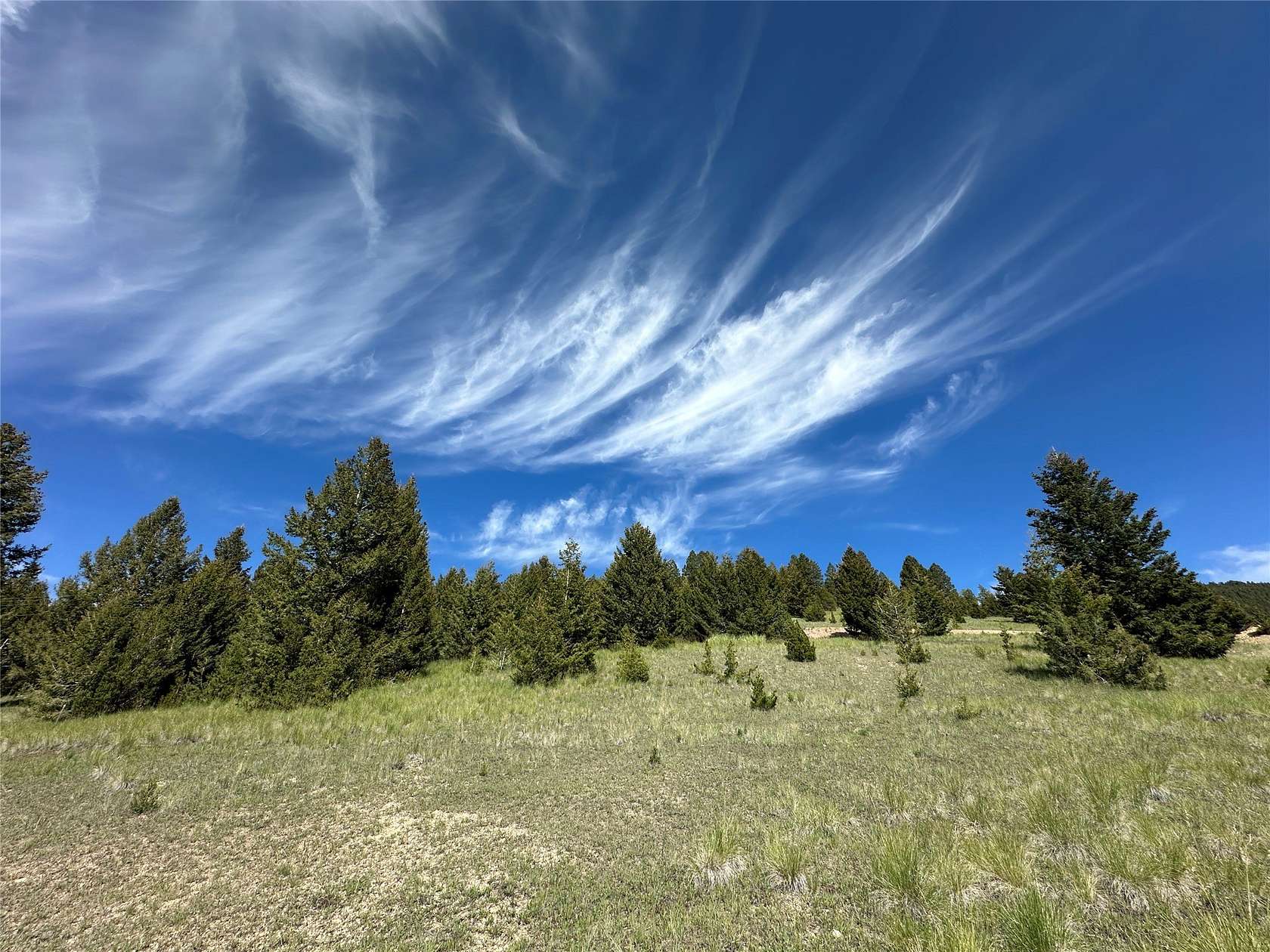 2 Acres of Land for Sale in Philipsburg, Montana
