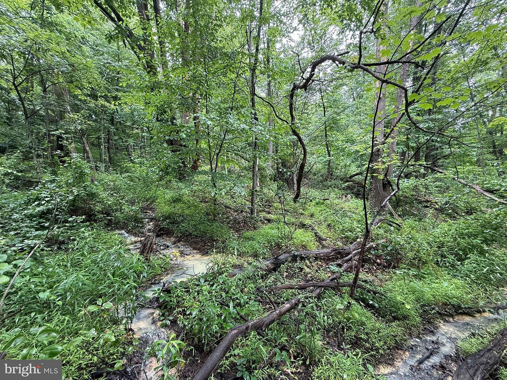 13 Acres of Recreational & Residential Land for Sale in Westernport, Maryland