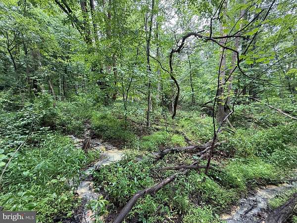 13 Acres of Recreational & Residential Land for Sale in Westernport, Maryland