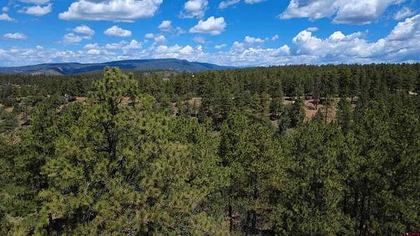 1.14 Acres of Residential Land for Sale in Pagosa Springs, Colorado