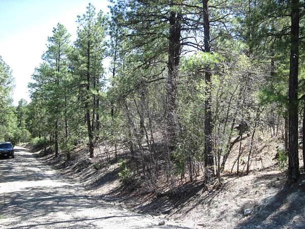 1.12 Acres of Land for Sale in Tijeras, New Mexico
