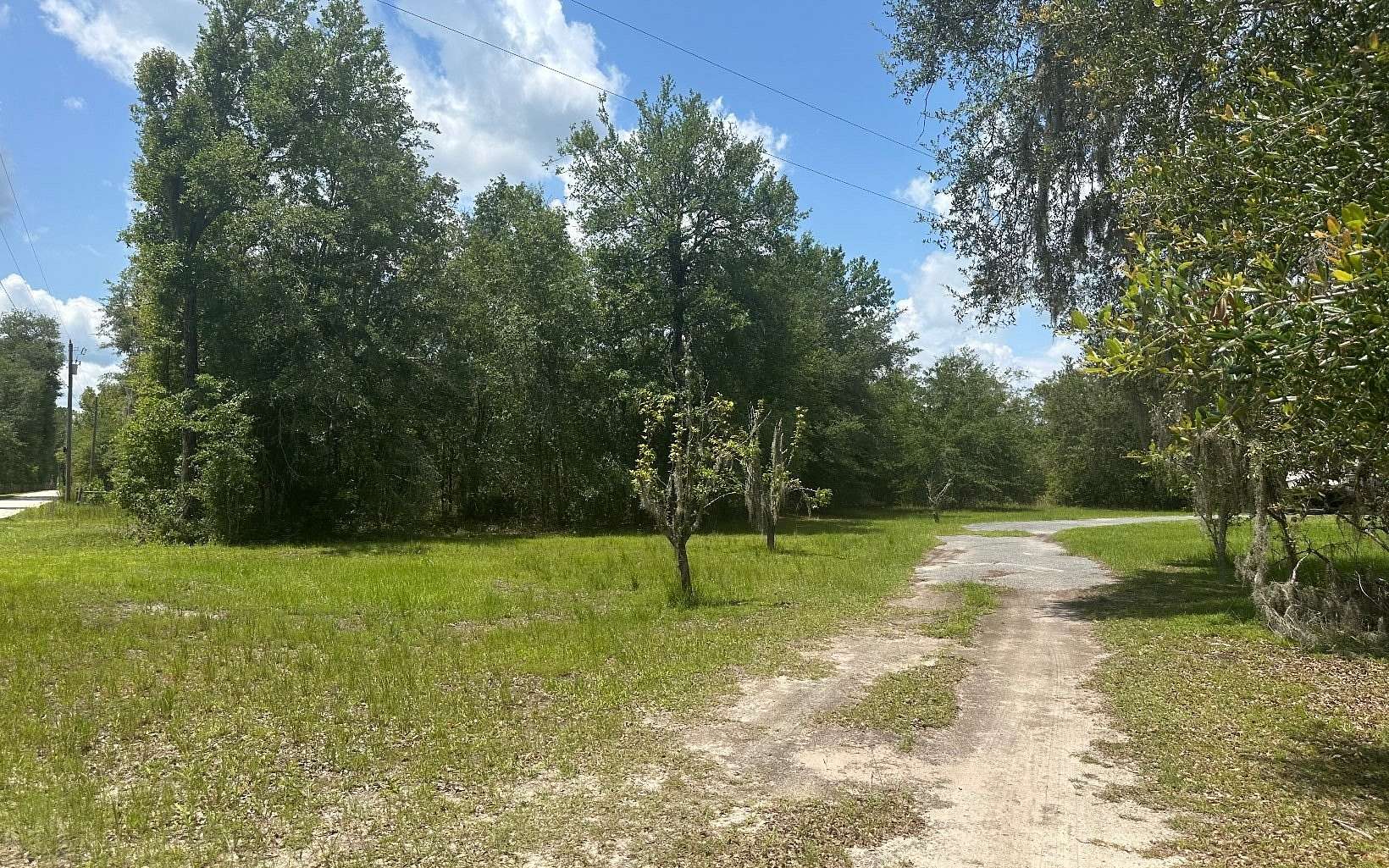 15.5 Acres of Land for Sale in Wellborn, Florida