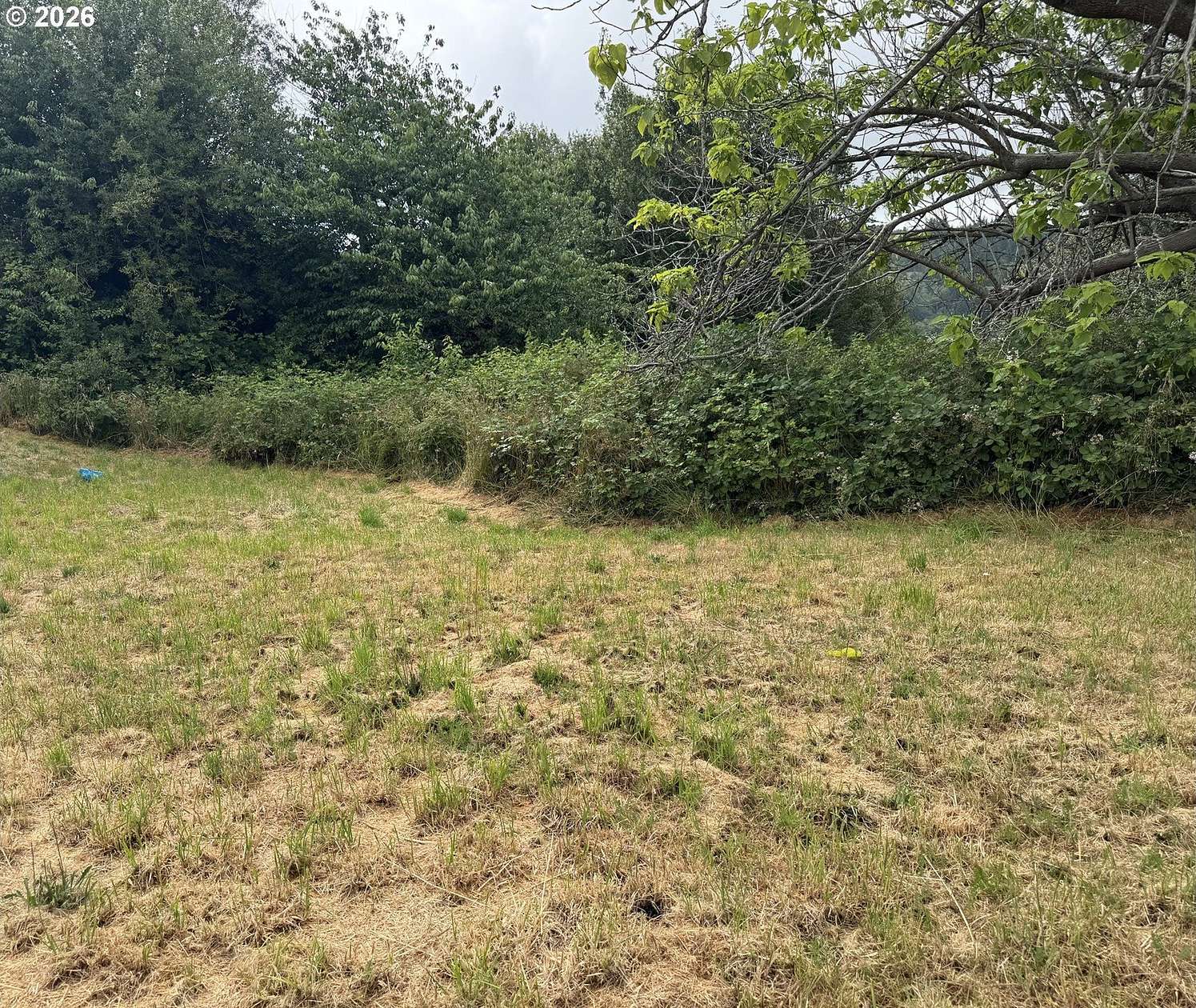 0.23 Acres of Residential Land for Sale in Myrtle Point, Oregon